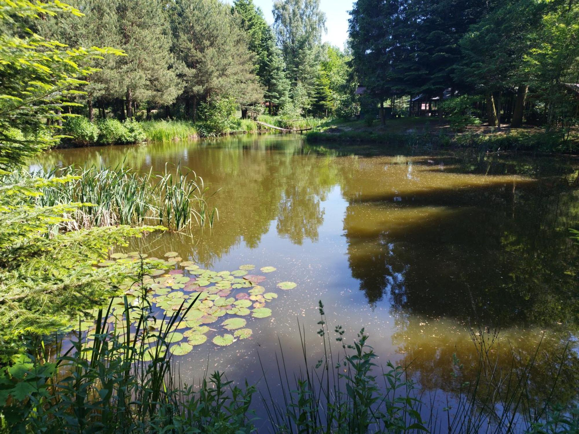 Przysiolek Jablonowice Apartament